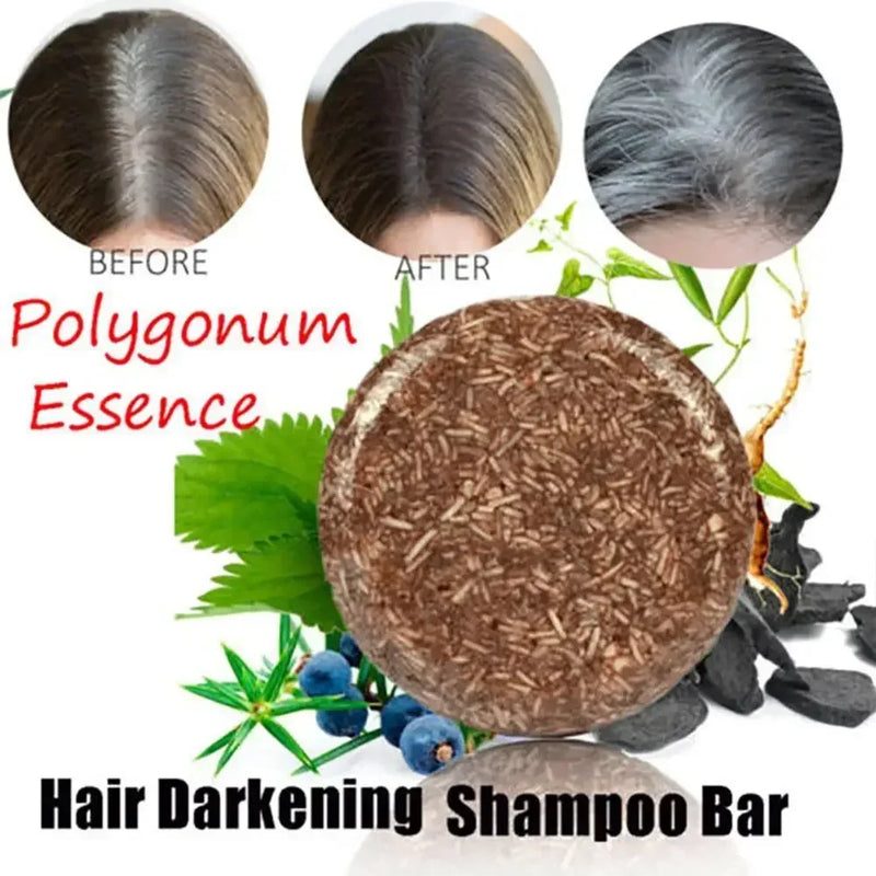 Shampoo em barra Polygonum Essence